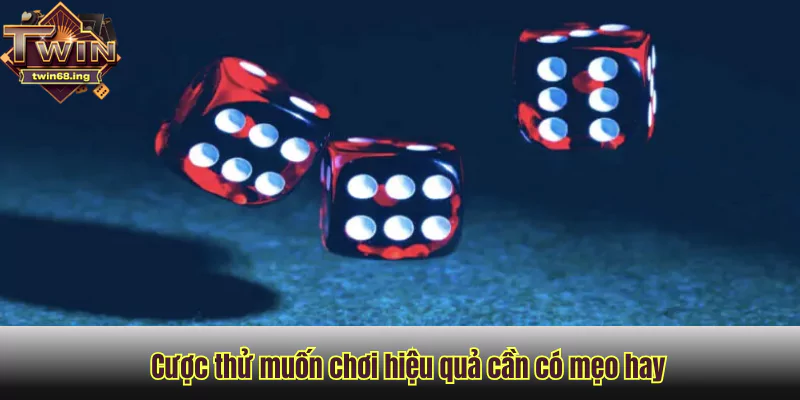 Cược thử muốn chơi hiệu quả cần có mẹo hay