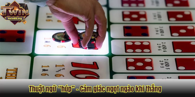 Tổng hợp thuật ngữ tài xỉu Twin68 mà ai cũng phải biết 1 Thuật ngữ “húp” trong tài xỉu Twin68