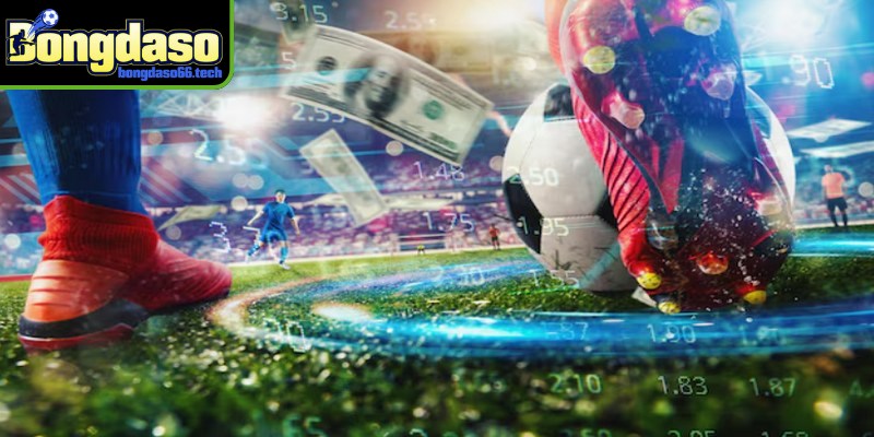 Cập nhật kết quả bóng đá chuẩn xác cho anh em 