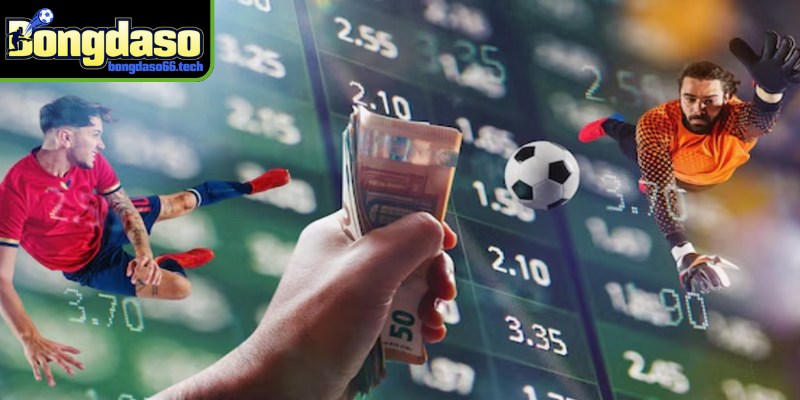 Kết quả bóng đá bongdaso một chuyên mục quen thuộc cho người dùng 